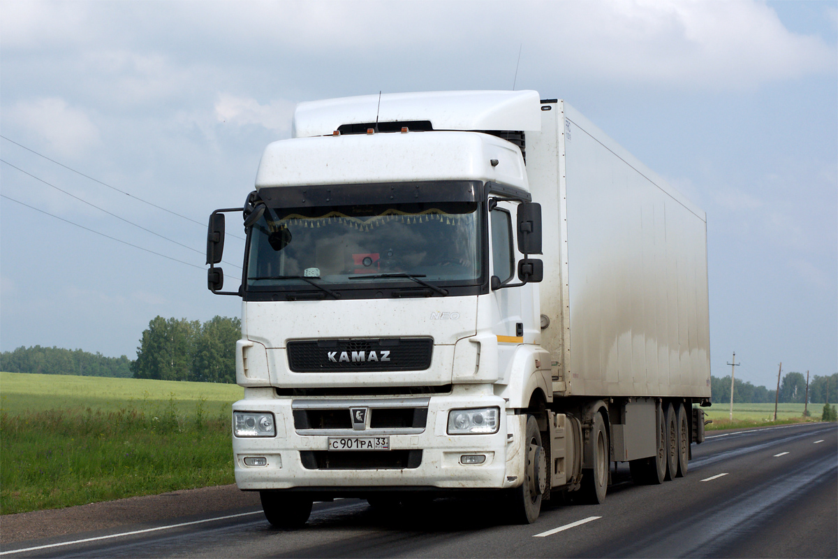 Владимирская область, № С 901 РА 33 — КамАЗ-5490-S5(87)