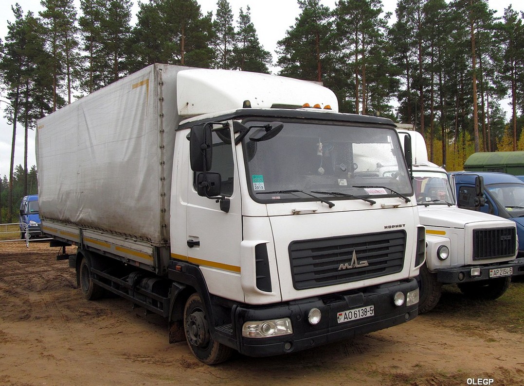 Минская область, № АО 6138-5 — МАЗ-4371 (общая модель)