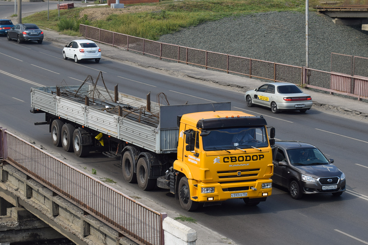 Алтайский край, № С 593 УЕ 154 — КамАЗ-65116-A4(23)