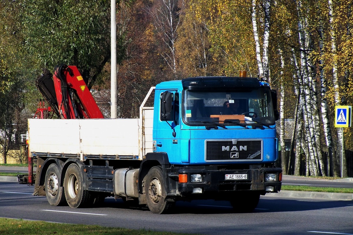 Могилёвская область, № АЕ 1665-6 — MAN F2000 (общая модель)