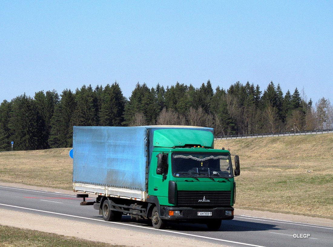 Минская область, № АМ 7659-5 — МАЗ-4371 (общая модель)