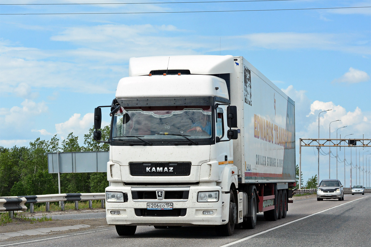 Новосибирская область, № Е 206 ЕО 154 — КамАЗ-5490-S5(87)