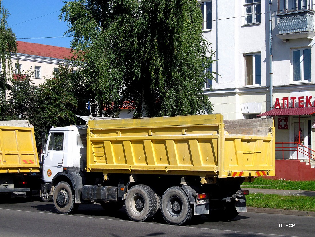 Витебская область, № АВ 9333-2 — МАЗ-551605