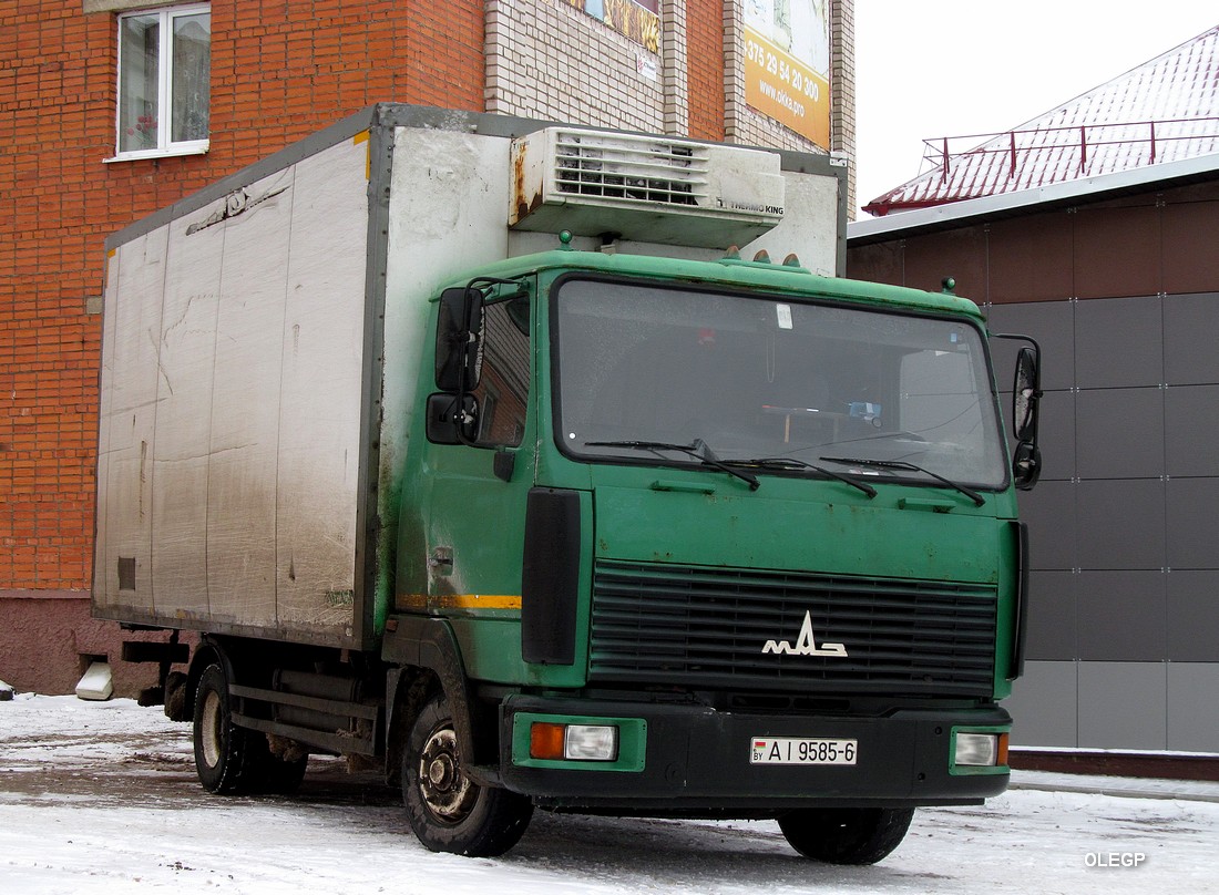 Могилёвская область, № АІ 9585-6 — МАЗ-4371 (общая модель)