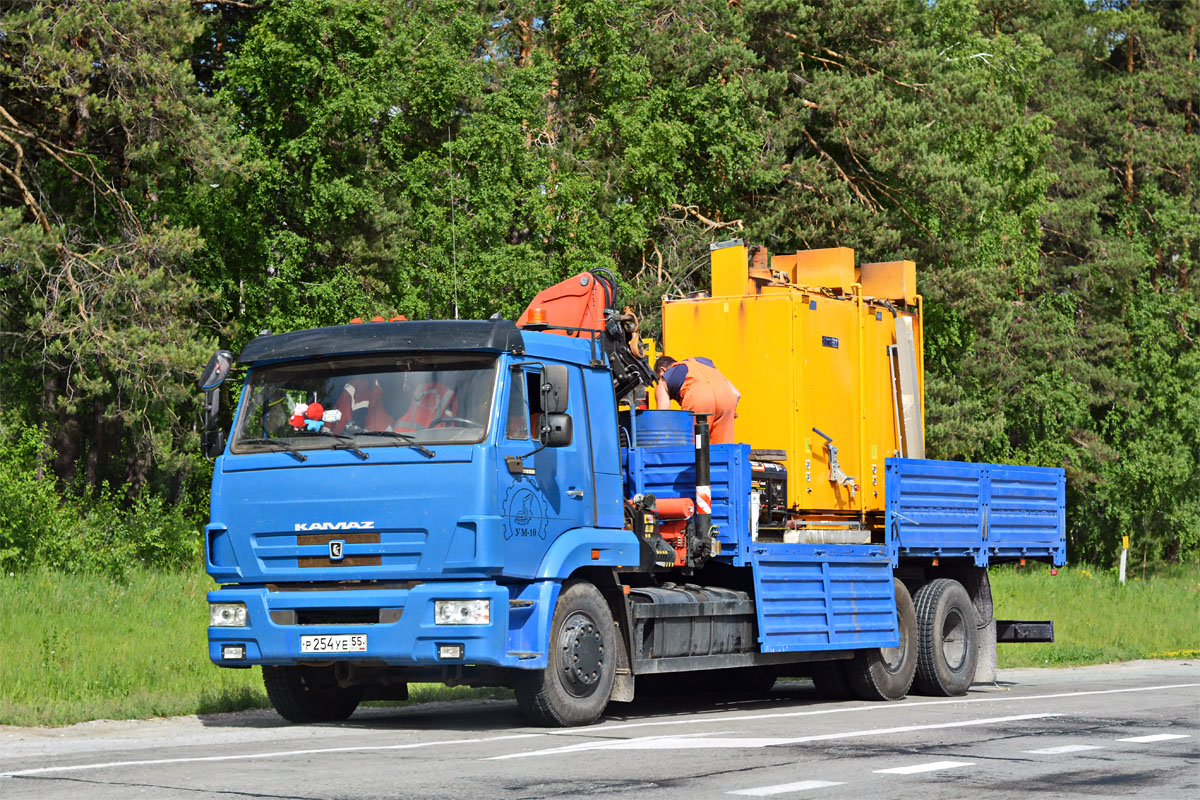 Омская область, № Р 254 УЕ 55 — КамАЗ-65117-N3(78)