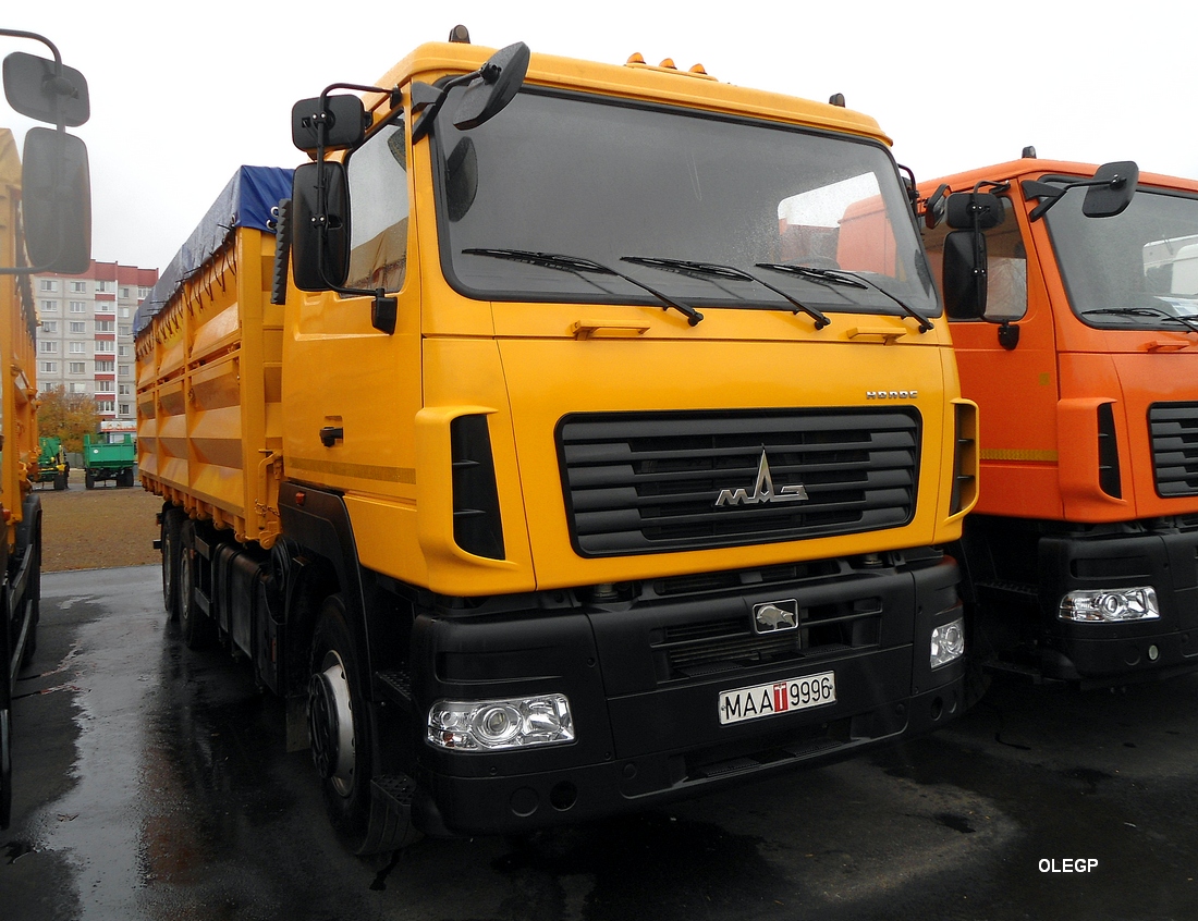 Минск, № МАА Т 9996 — МАЗ-6501 (общая модель); Новая техника (Гомельская область)
