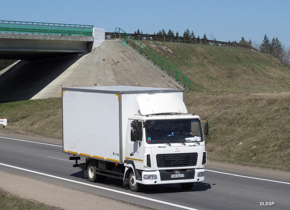 Гомельская область, № АК 6422-3 — МАЗ-4371 (общая модель)