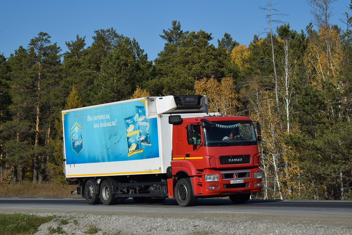 Алтайский край, № У 250 ХВ 22 — КамАЗ-65208-S5(87)