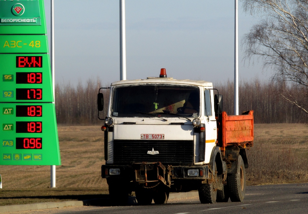 Могилёвская область, № ТВ 5073 — МАЗ-5551 (общая модель)