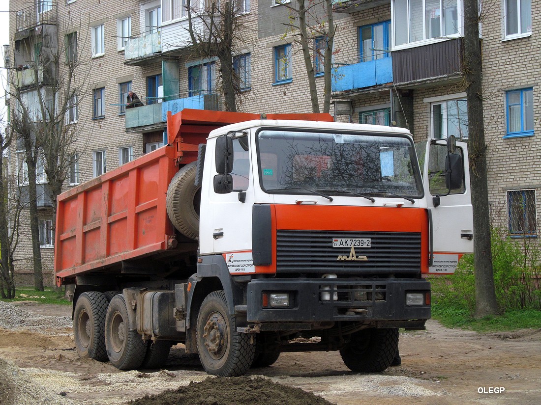 Витебская область, № АК 7239-2 — МАЗ-6501 (общая модель)