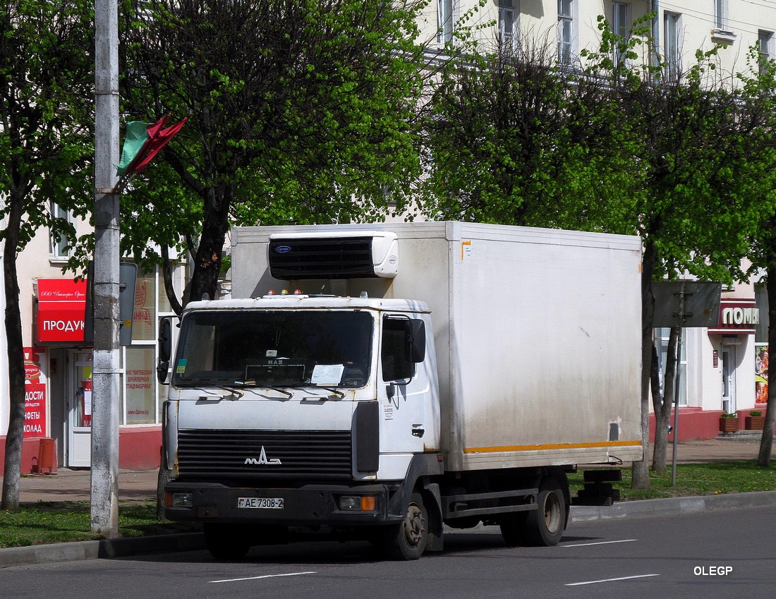 Витебская область, № АЕ 7308-2 — МАЗ-4371 (общая модель)