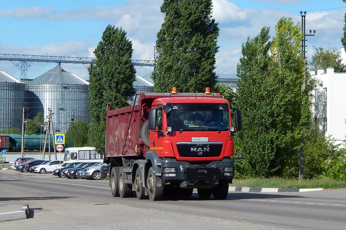 Белгородская область, № Н 242 ЕО 31 — MAN TGS 41.390
