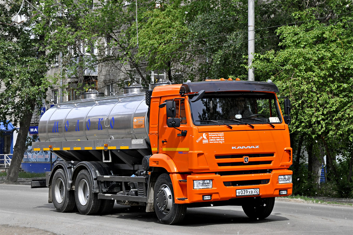 Алтайский край, № Х 039 ХВ 22 — КамАЗ-65115-A5(48)