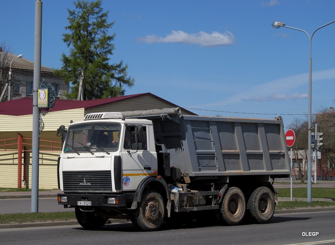 Могилёвская область, № АІ 3742-6 — МАЗ-5516 (общая модель)