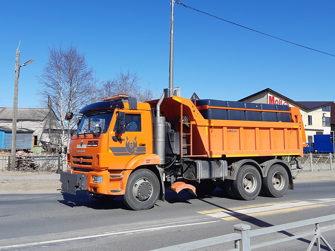 Ненецкий автономный округ, № А 355 ОА 83 — КамАЗ-65115-A5(48)