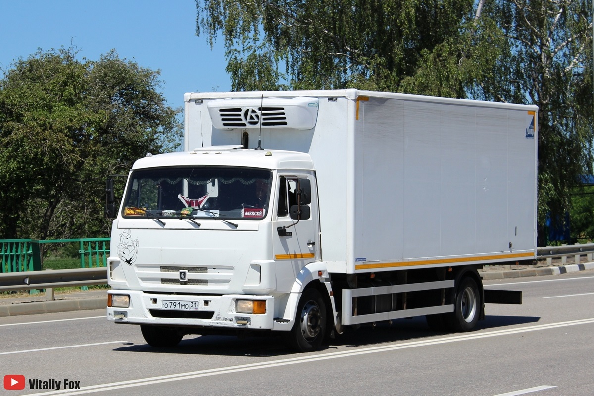 Белгородская область, № О 791 МО 31 — КамАЗ-4308-C4(25)