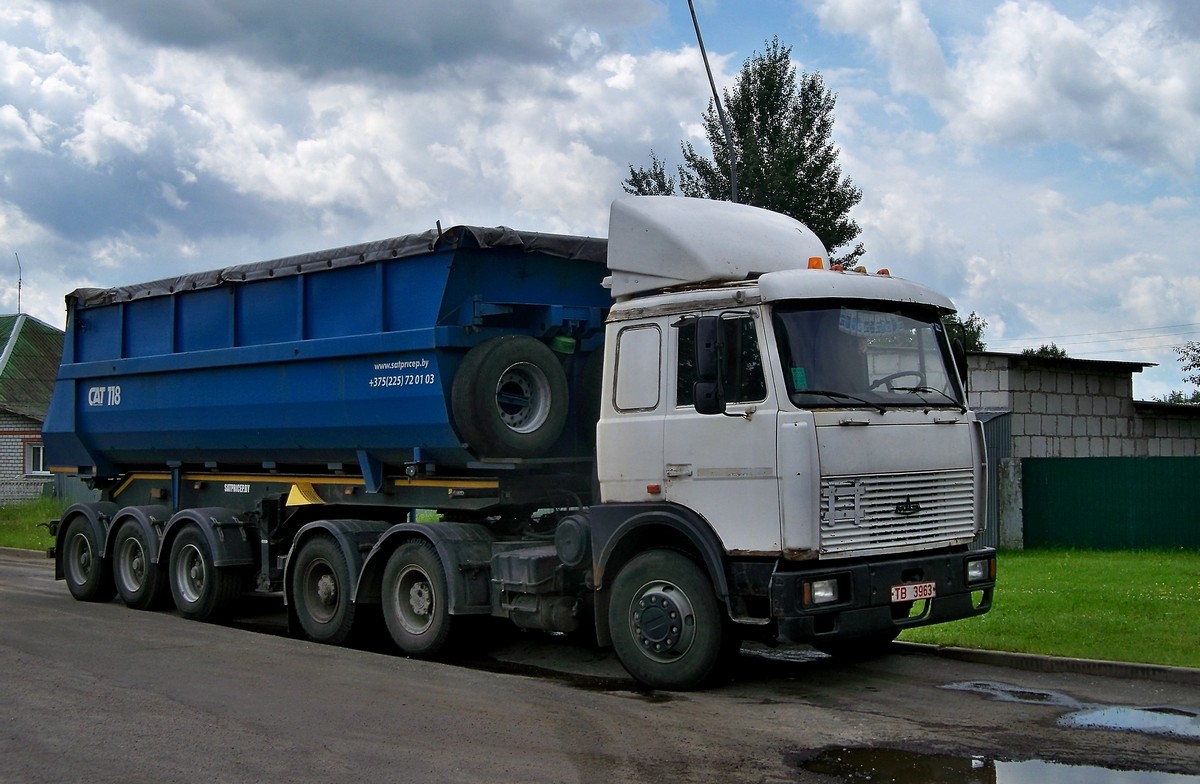 Могилёвская область, № ТВ 3963 — МАЗ-6422A8; Могилёвская область, № А 9551 А-6 —  Прочие модели