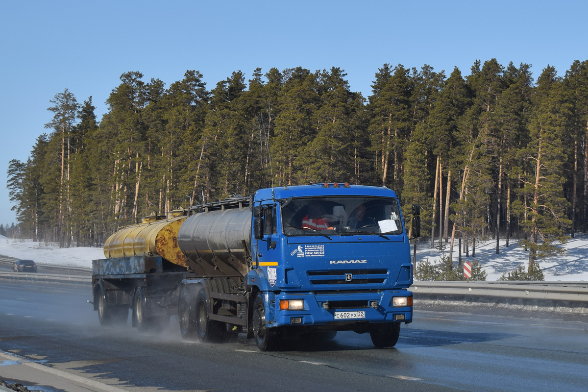 Алтайский край, № С 602 УХ 22 — КамАЗ-65117-A4(23)