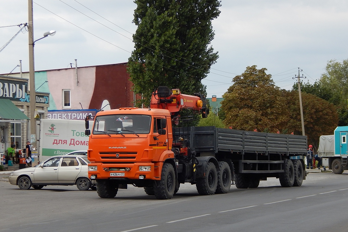 Белгородская область, № Р 436 РУ 31 — КамАЗ-53504 (общая модель)