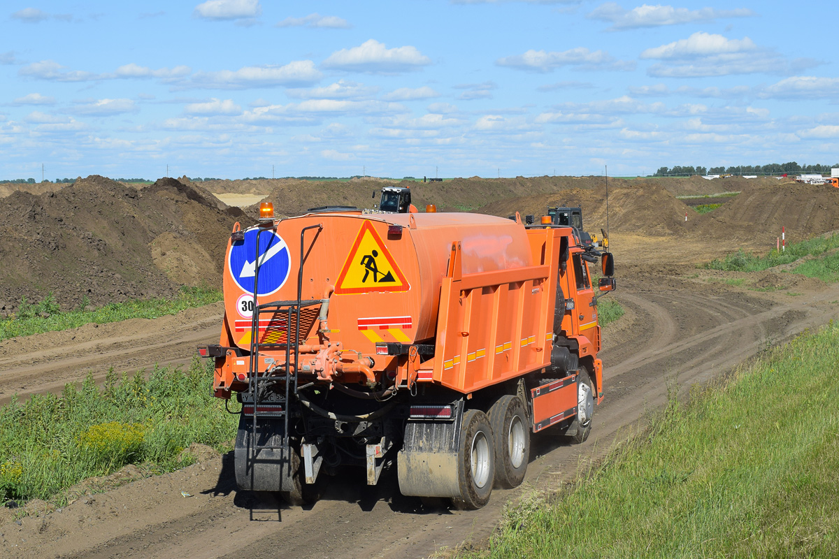 Омская область, № У 103 АС 55 — КамАЗ-65115-L4(19)
