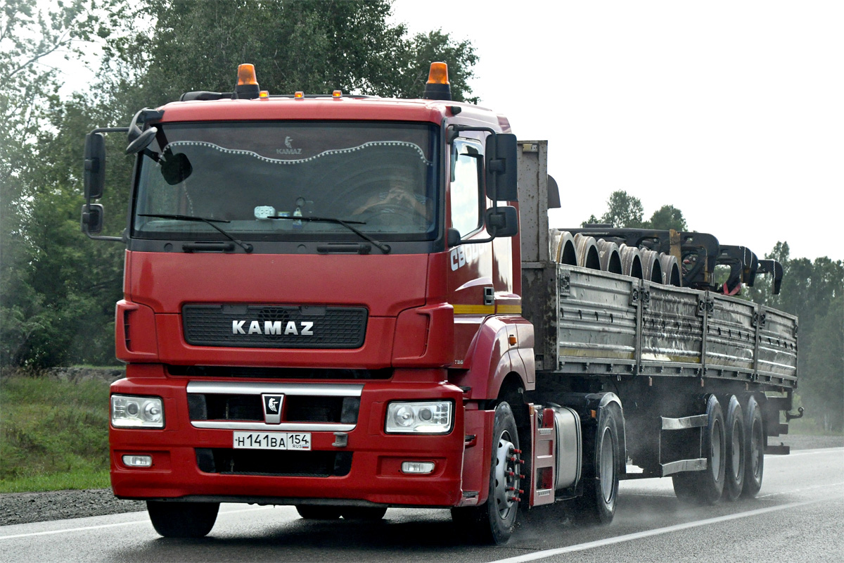 Новосибирская область, № Н 141 ВА 154 — КамАЗ-5490-S5(87)