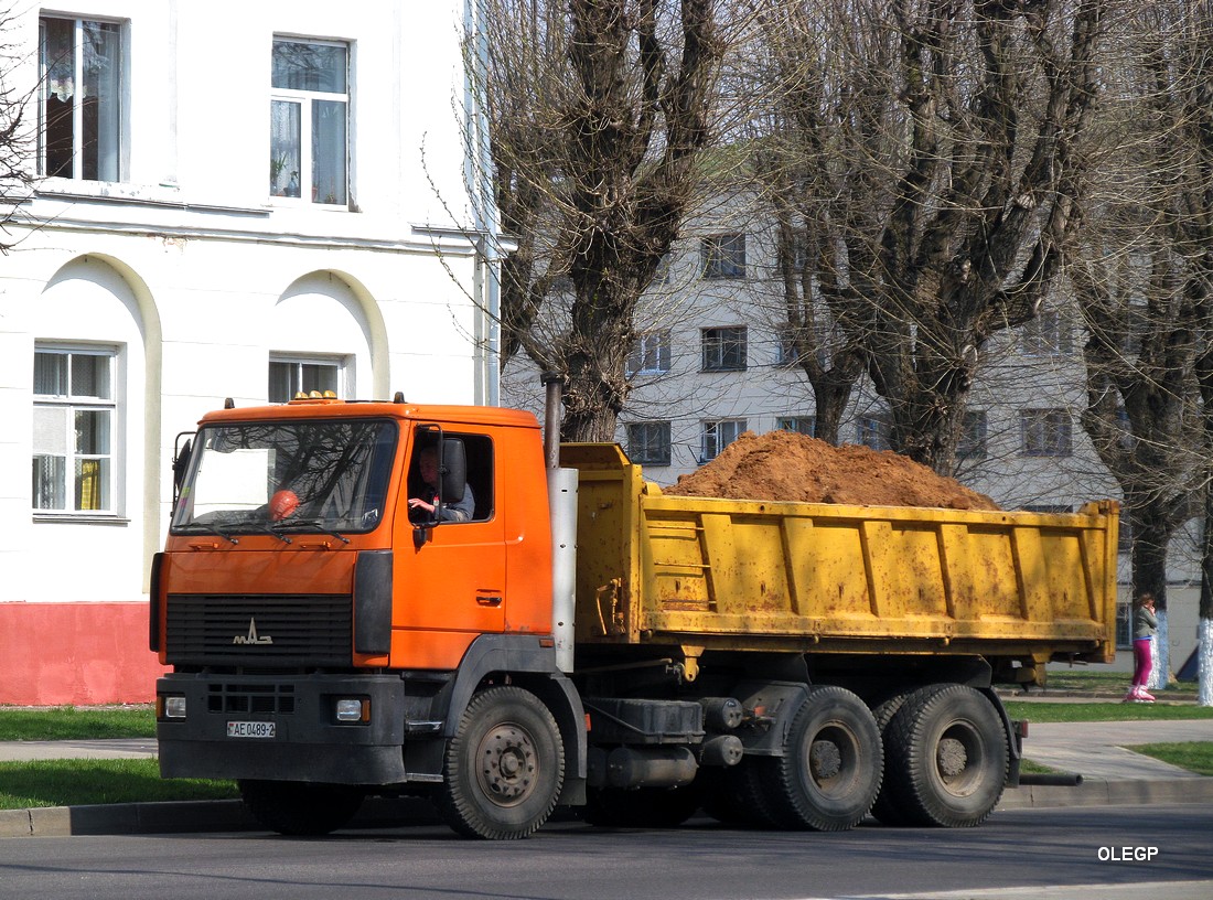 Витебская область, № АЕ 0489-2 — МАЗ-6501A8