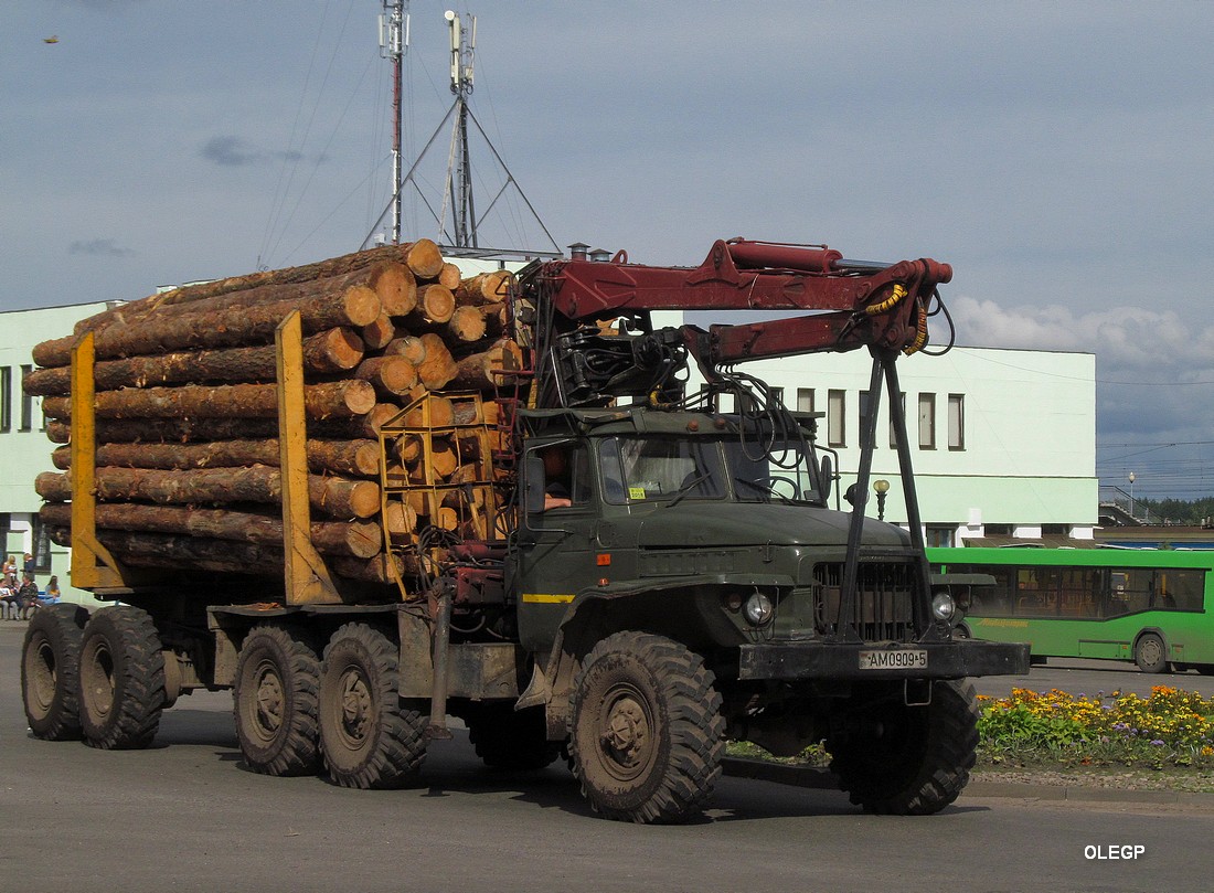Минская область, № АМ 0909-5 — Урал-375 (общая модель)
