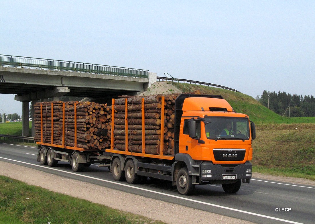 Гродненская область, № АІ 8294-4 — MAN TGS 33.440