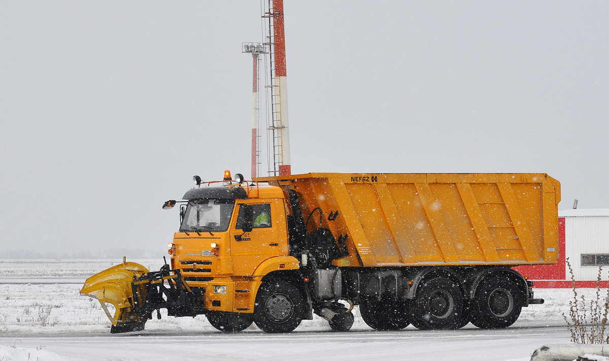 Омская область, № 161 — КамАЗ-6520-43