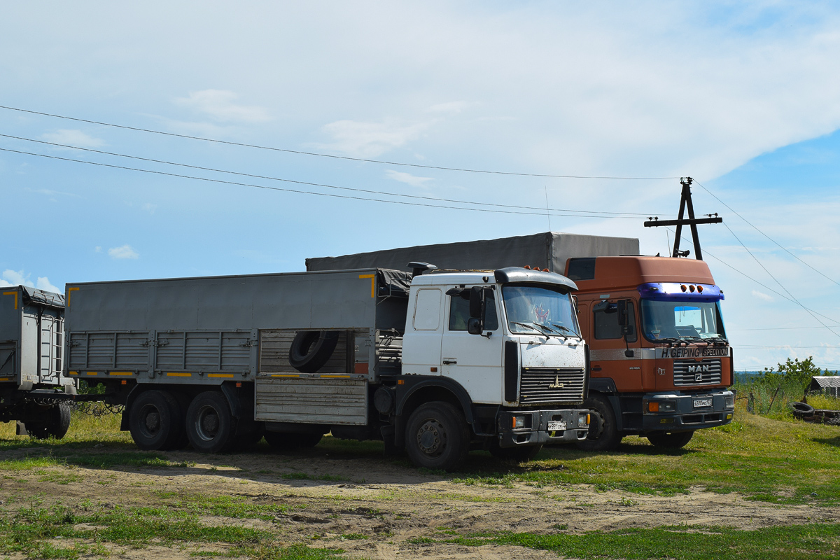 Алтайский край, № М 991 СМ 22 — МАЗ-630308