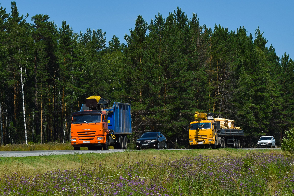 Алтайский край, № У 140 ХХ 22 — КамАЗ-65115-50