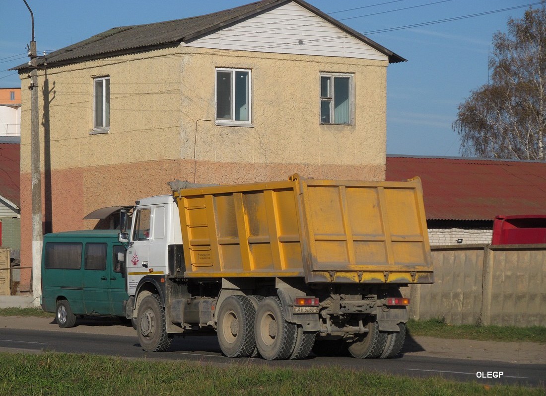 Витебская область, № 12009 — МАЗ-5516 (общая модель)