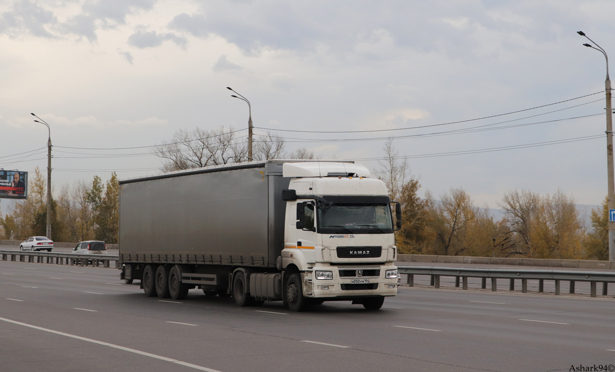 Новосибирская область, № Н 050 УМ 154 — КамАЗ-5490-S5(87)