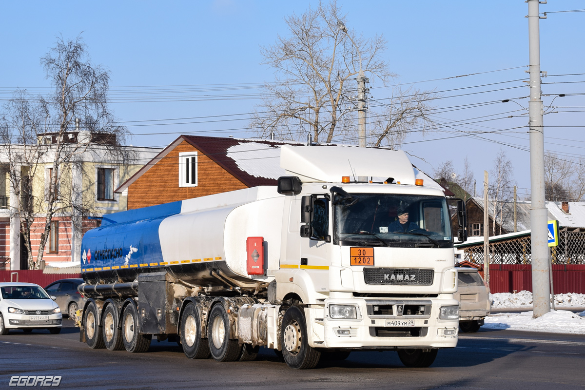 Архангельская область, № М 409 УМ 29 — КамАЗ-65206-T5(68)