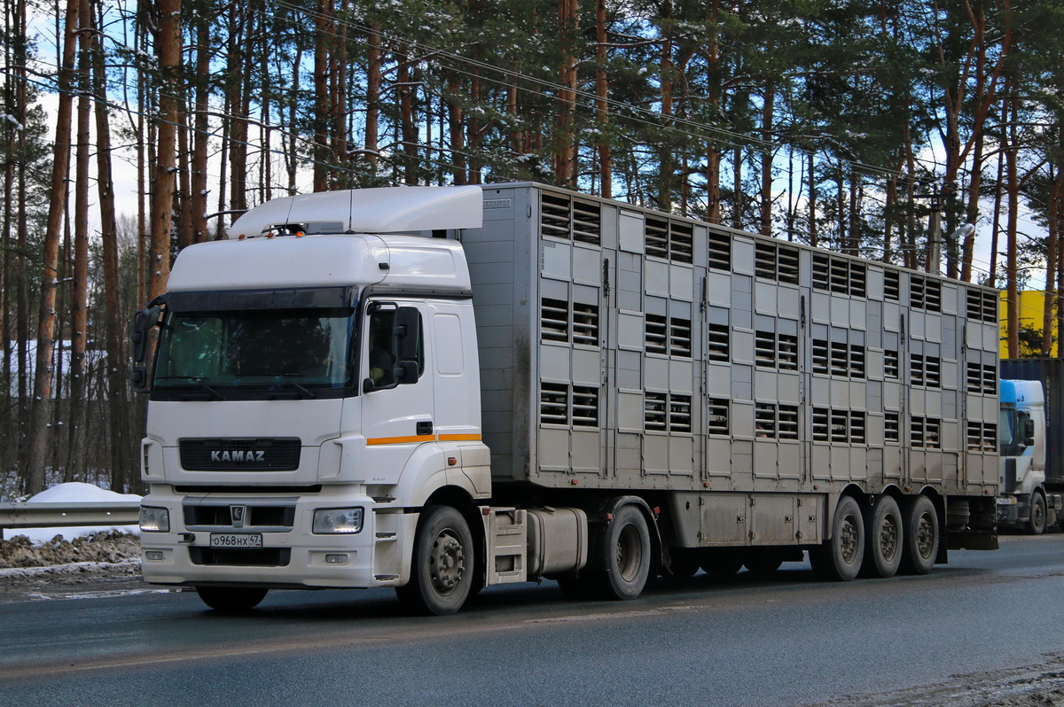 Ленинградская область, № О 968 НХ 47 — КамАЗ-5490-S5(87)