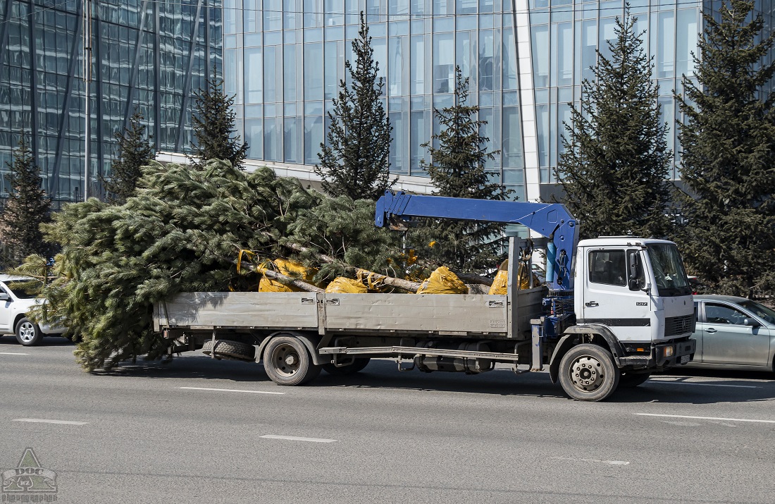 Алматинская область, № B 339 EEN — Mercedes-Benz LK (общая модель)