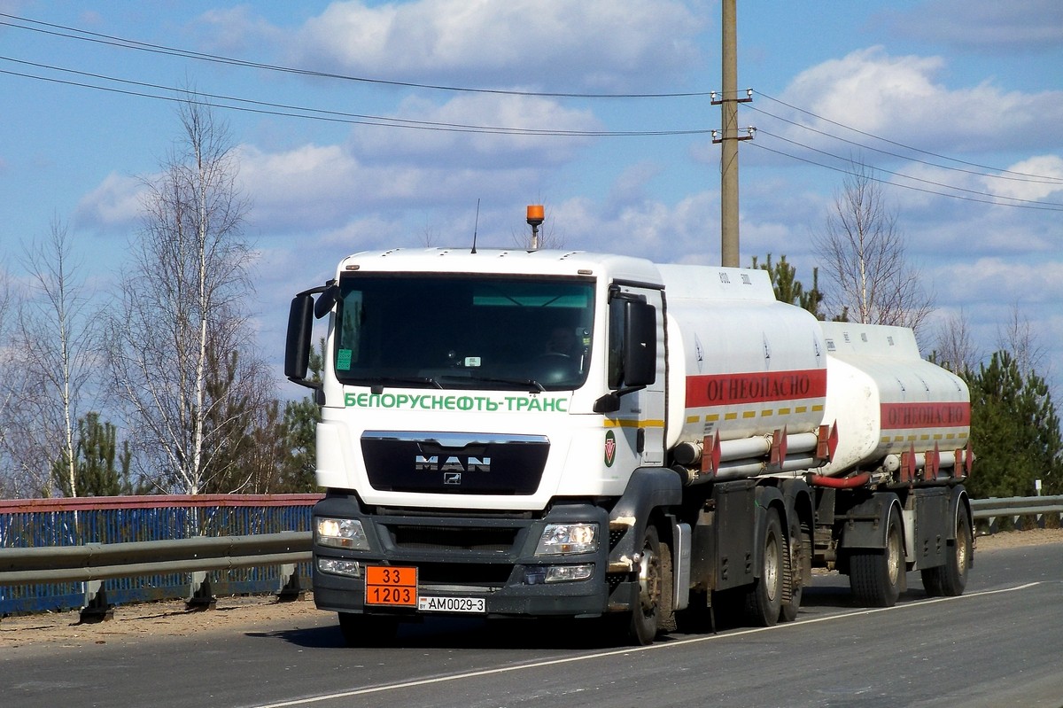 Гомельская область, № АМ 0029-3 — MAN TGS (общая модель)