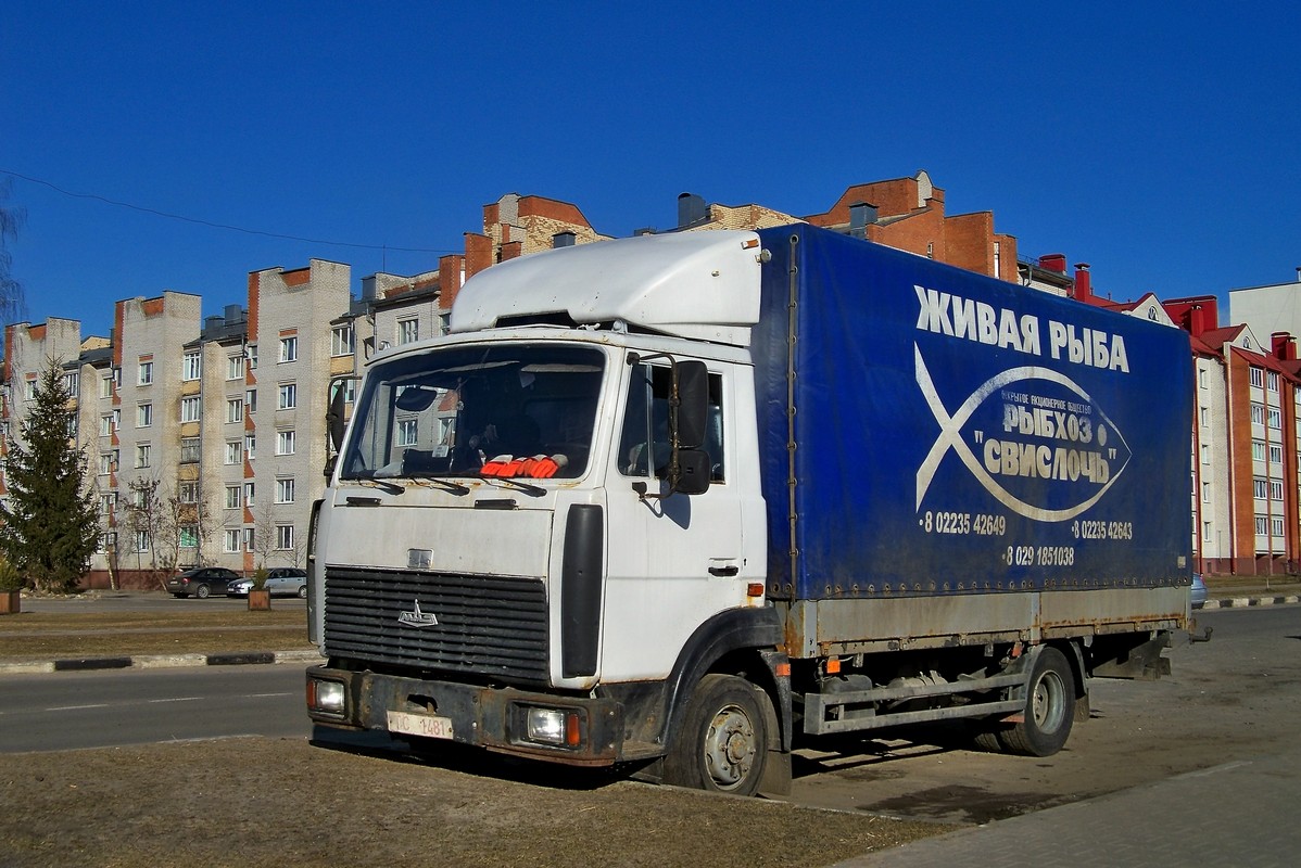 Могилёвская область, № ТС 1481 — МАЗ-437041