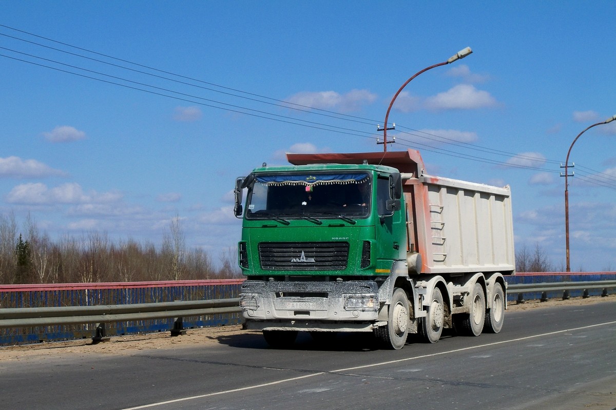 Могилёвская область, № АІ 6080-6 — МАЗ-6516 (общая модель)