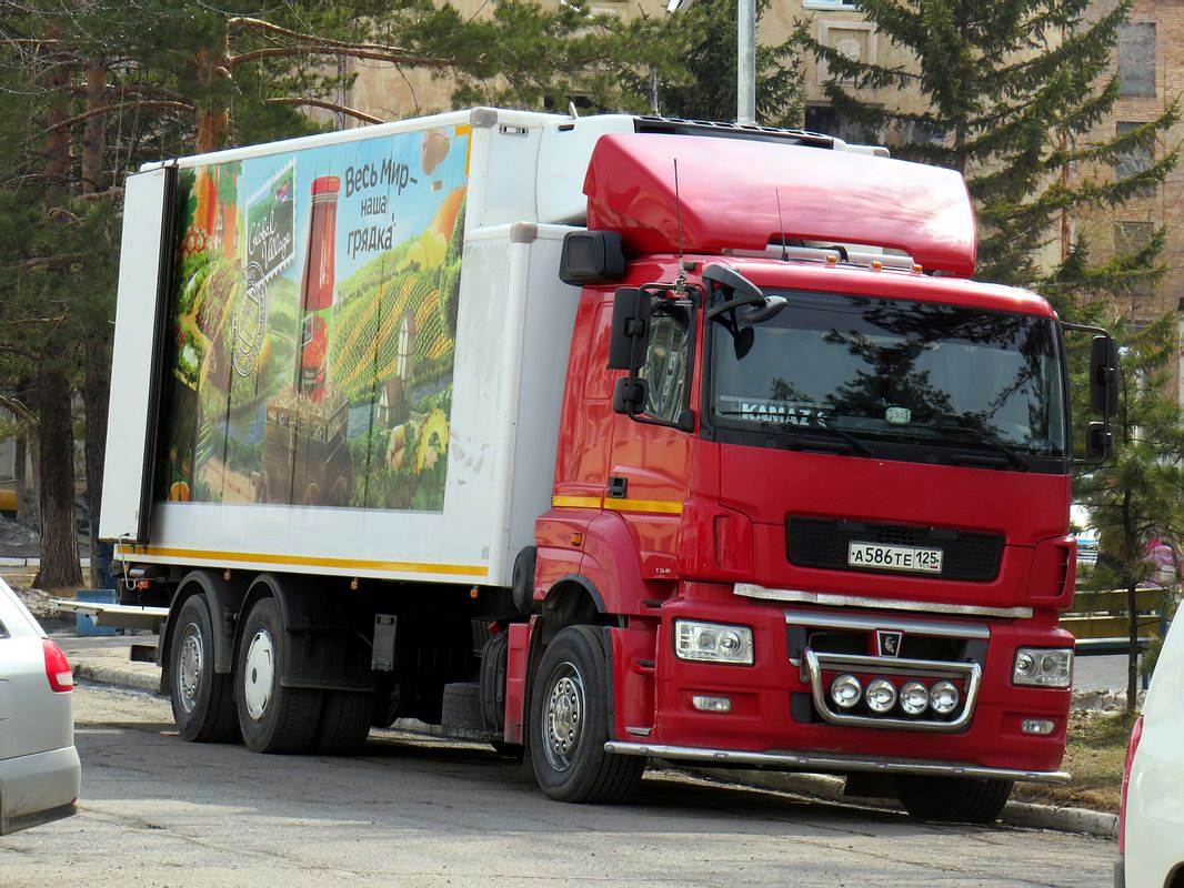 Приморский край, № А 586 ТЕ 125 — КамАЗ-65208-S5(87)