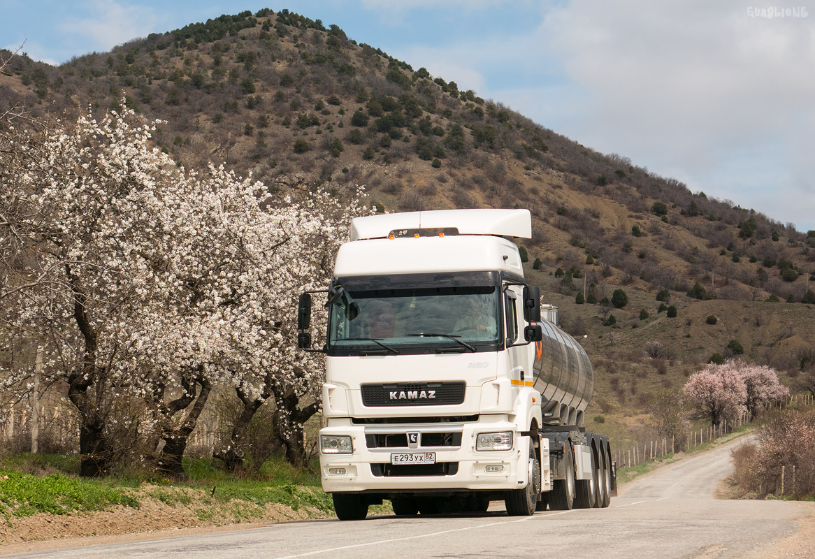 Крым, № Е 293 УХ 82 — КамАЗ-5490-S5(87)