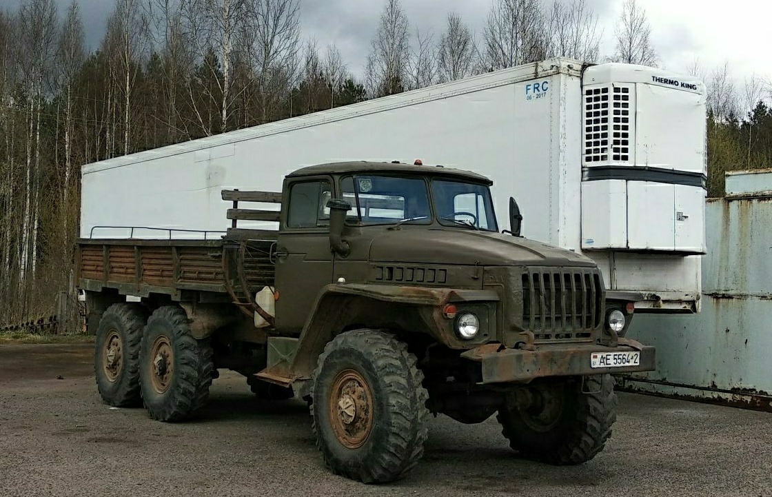 Витебская область, № АЕ 5564-2 — Урал-4320-01