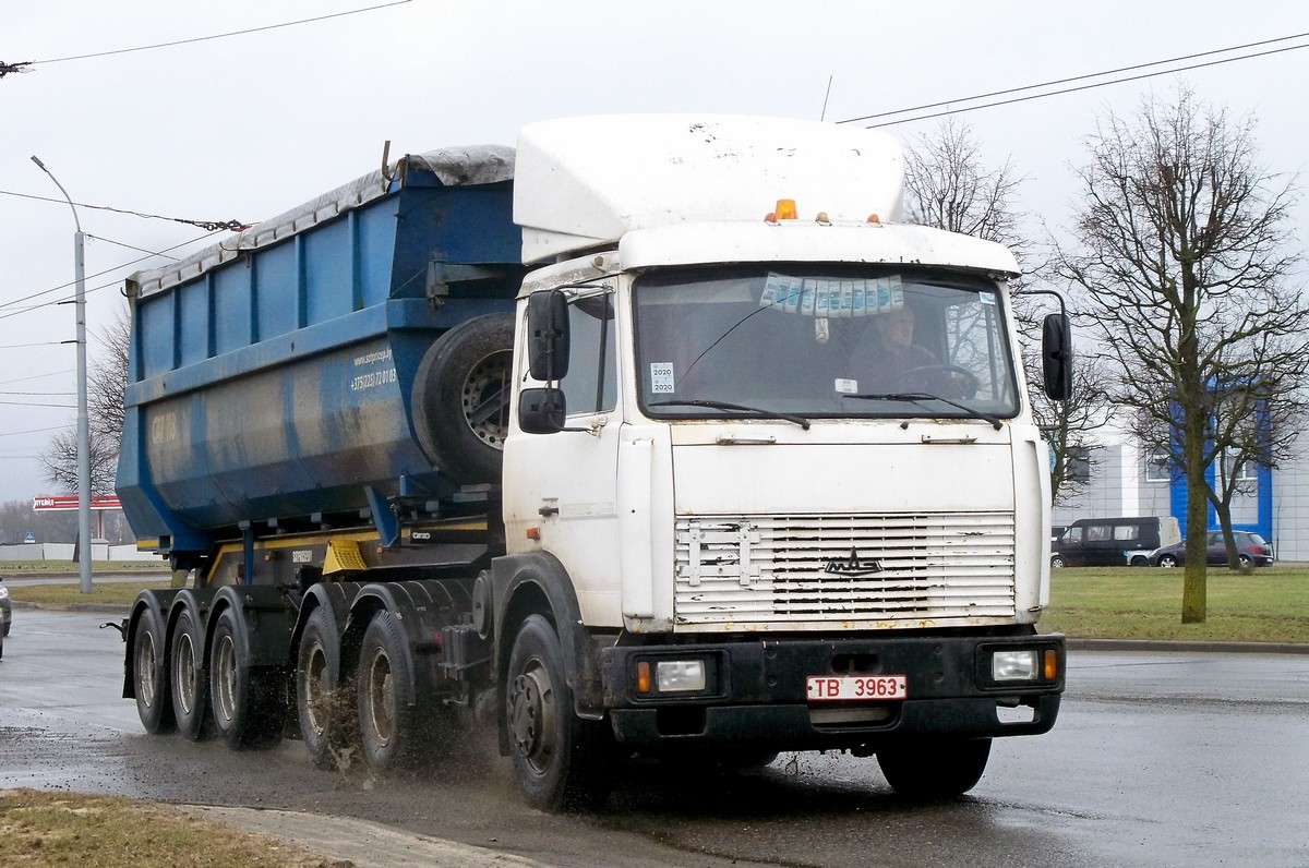 Могилёвская область, № ТВ 3963 — МАЗ-6422A8