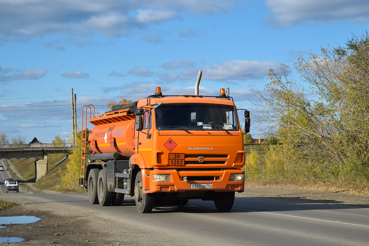 Новосибирская область, № Е 239 АВ 154 — КамАЗ-65115-A4(23)