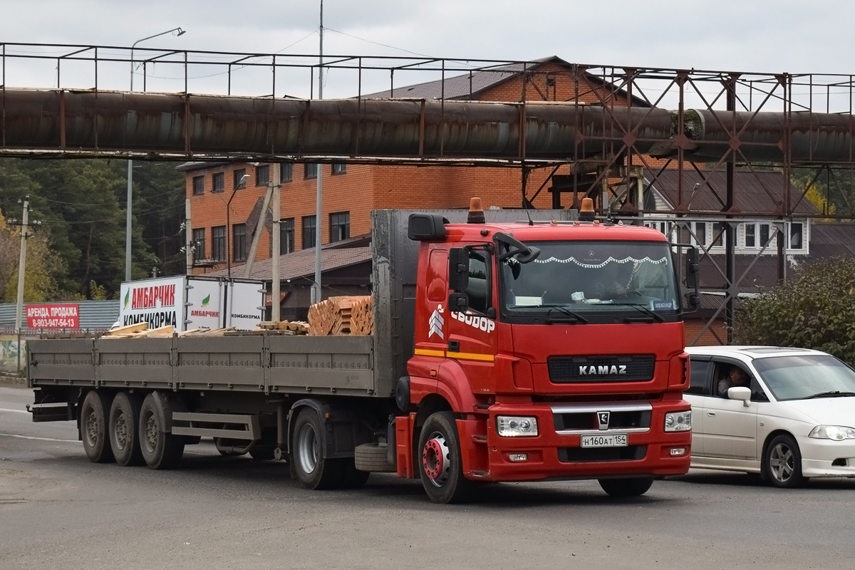 Новосибирская область, № Н 160 АТ 154 — КамАЗ-5490-S5(87)