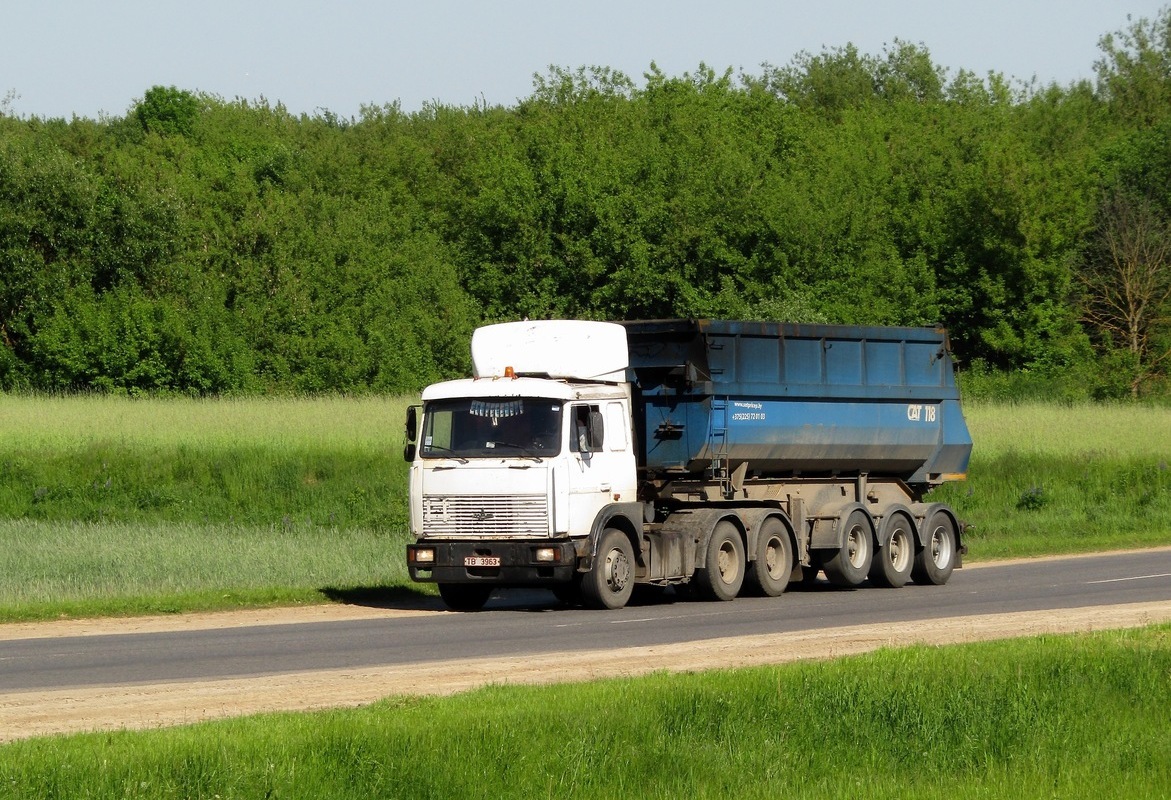 Могилёвская область, № ТВ 3963 — МАЗ-6422A8; Могилёвская область, № А 9551 А-6 —  Прочие модели