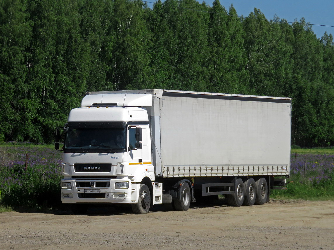 Москва, № М 704 ЕМ 799 — КамАЗ-5490-S5(87)