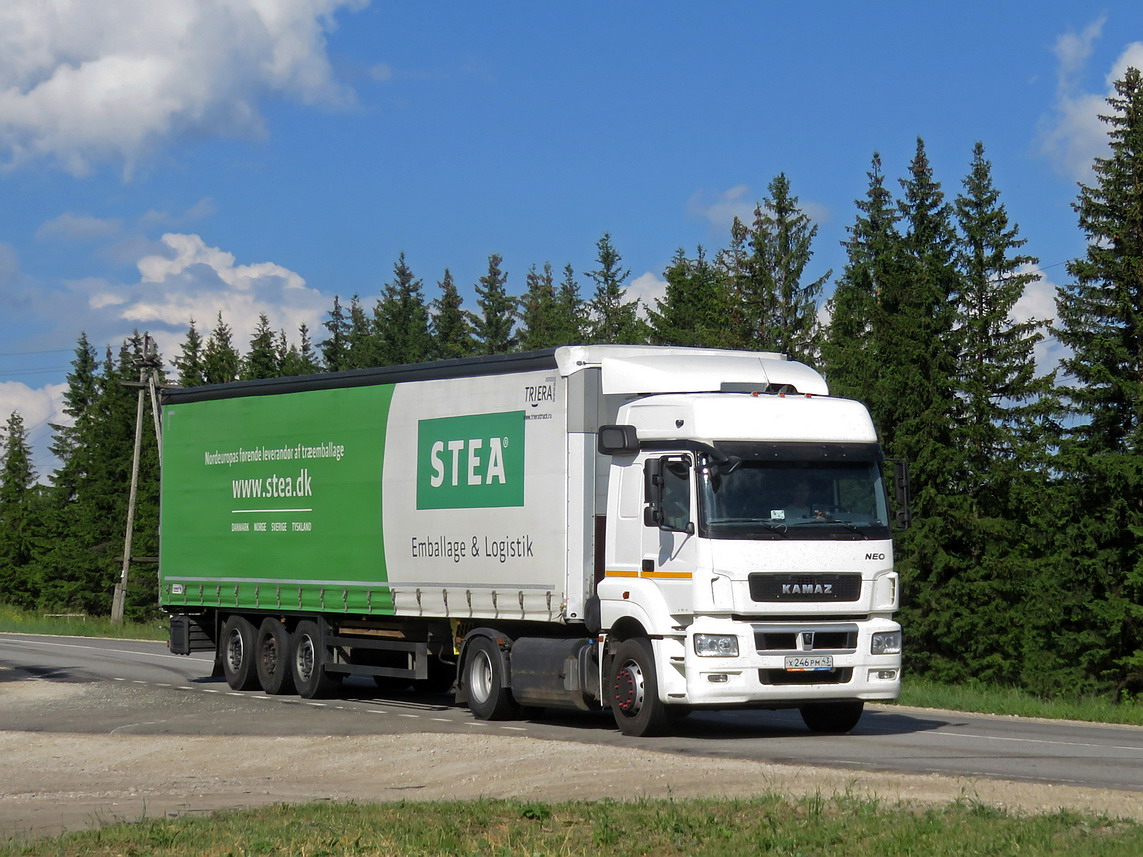 Кировская область, № Х 246 РМ 43 — КамАЗ-5490-S5(87)