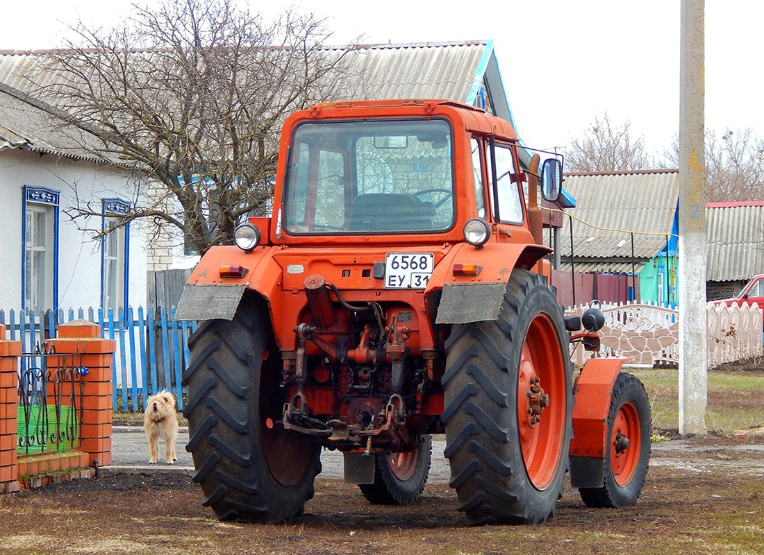 Белгородская область, № 6568 ЕУ 31 — МТЗ-80