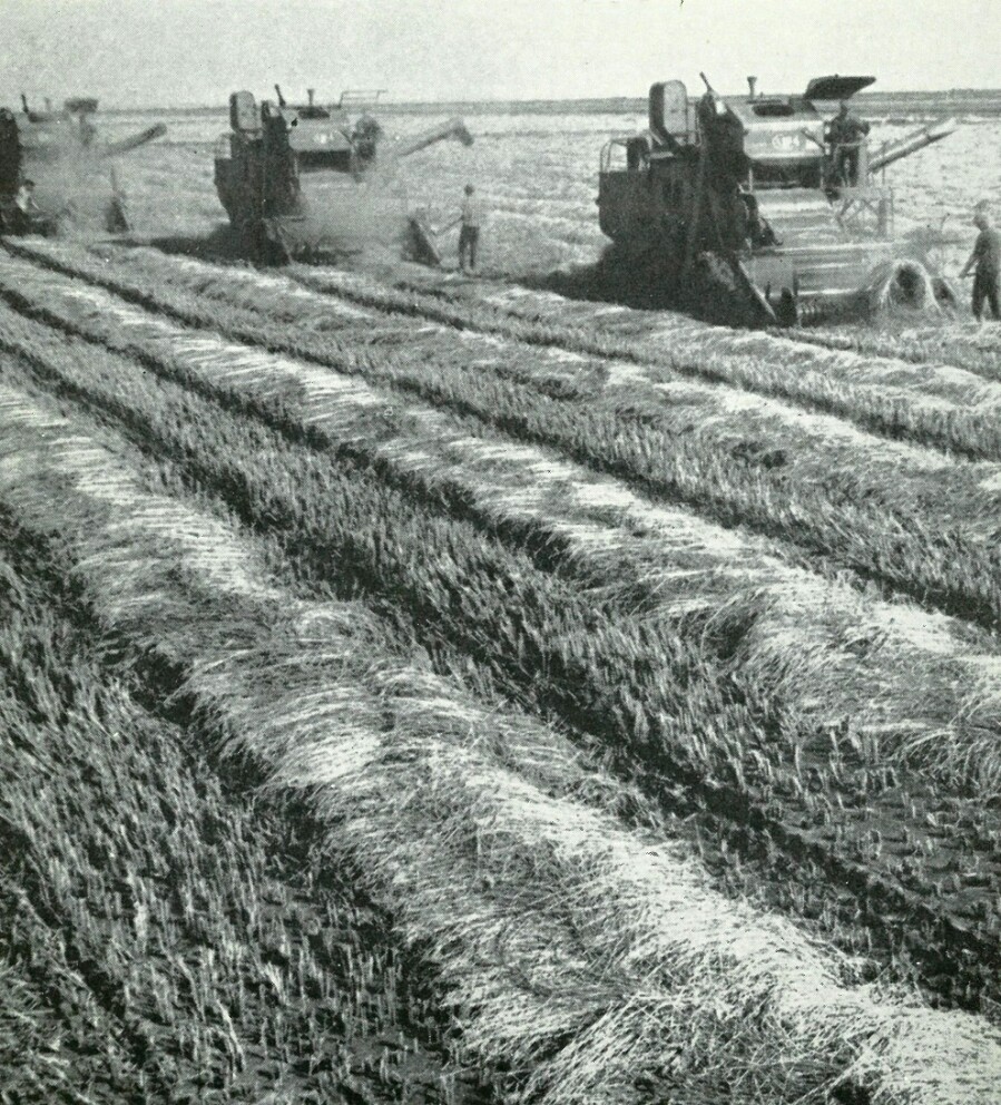 Исторические фотографии (до 2000 года) (Крым)